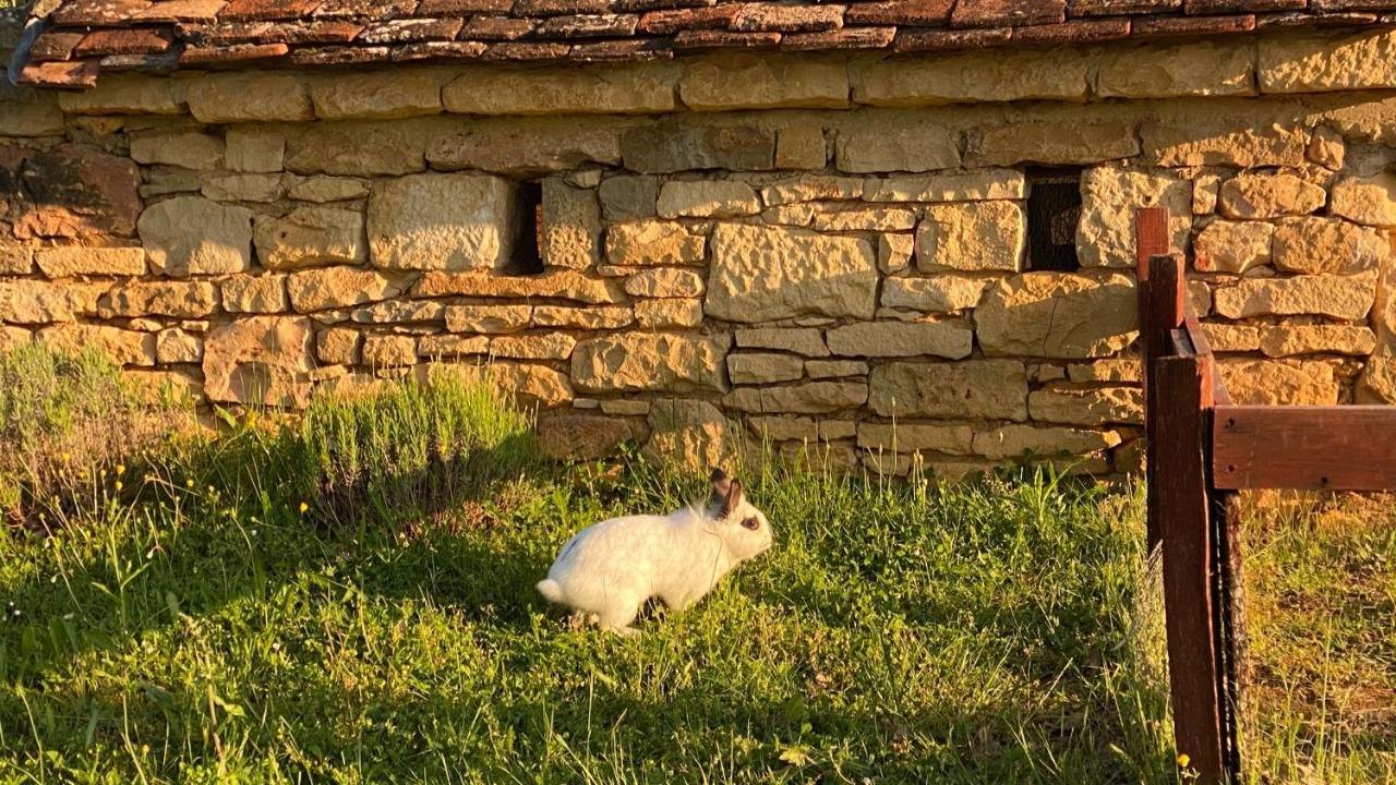 Eco-Hameau Du Sentier Des Sources Villa Sarlat-la-Canéda Exterior photo